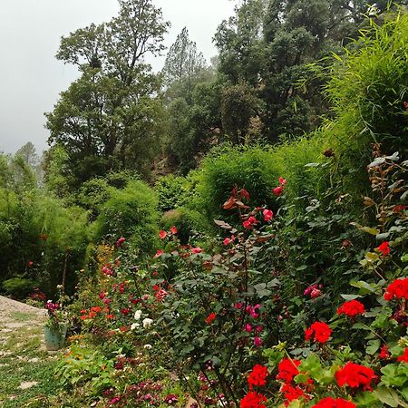 Himwanderer Camps & Cottages Pangot Nainital Kültér fotó