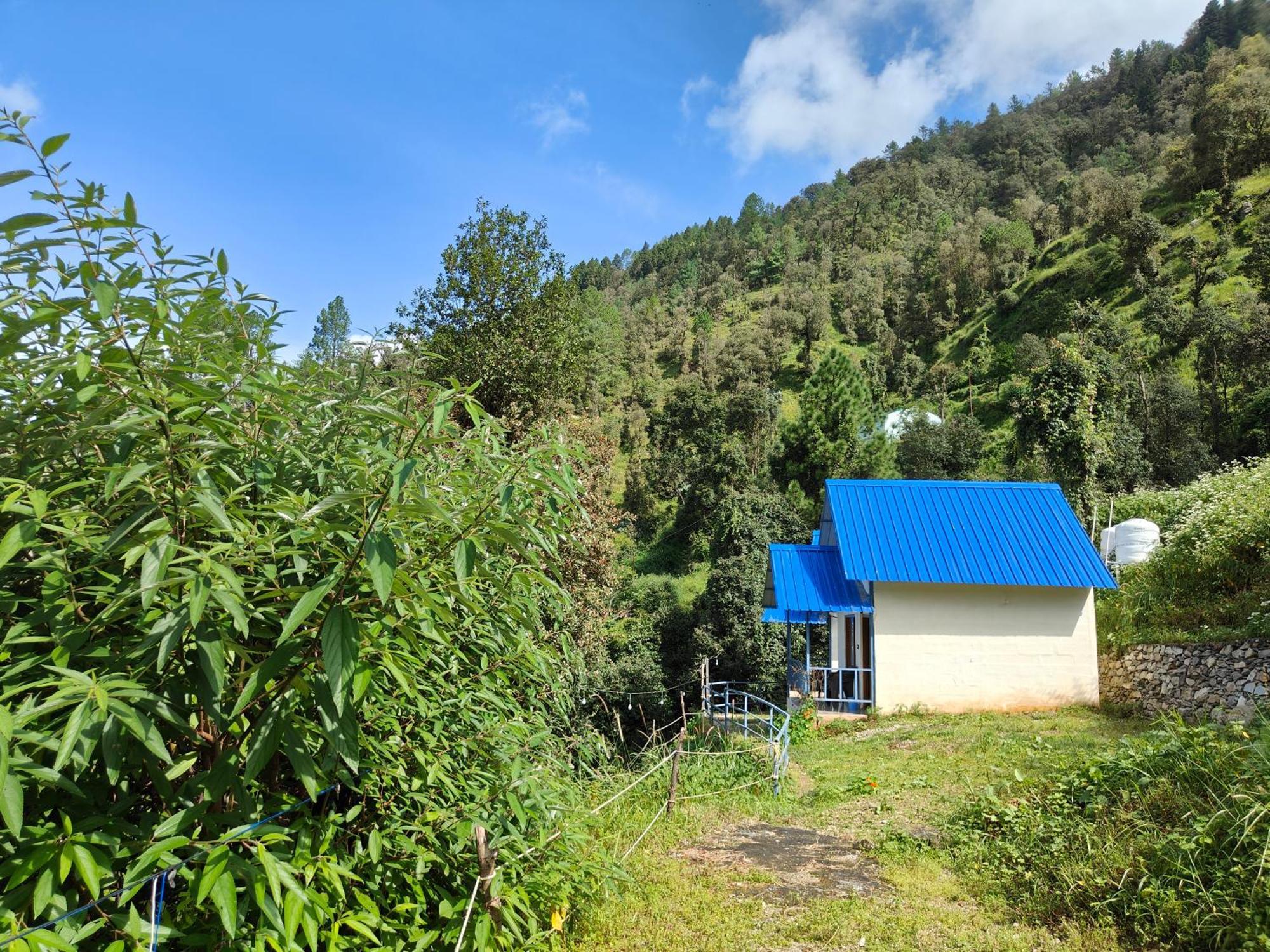 Himwanderer Camps & Cottages Pangot Nainital Kültér fotó