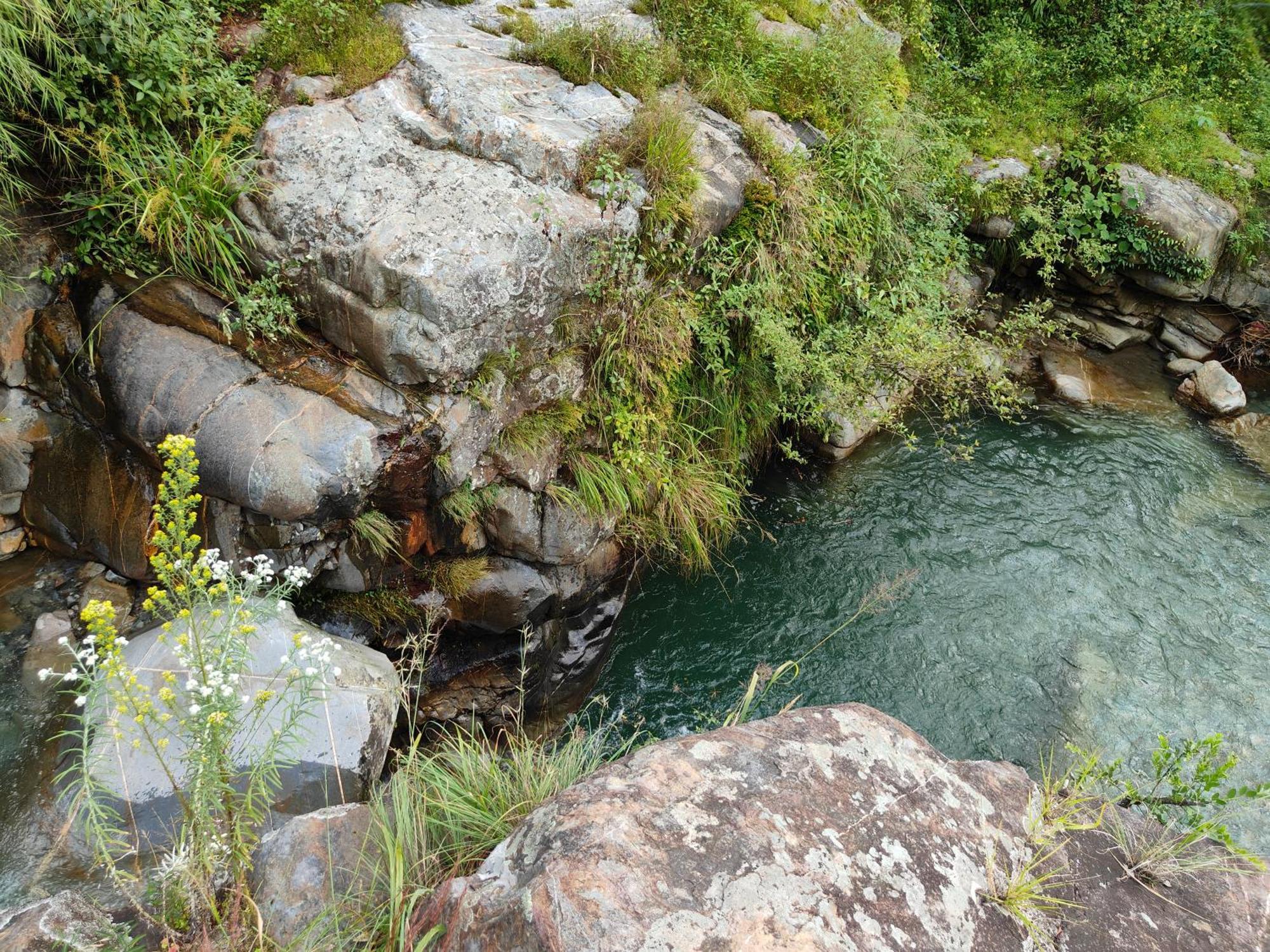 Himwanderer Camps & Cottages Pangot Nainital Kültér fotó