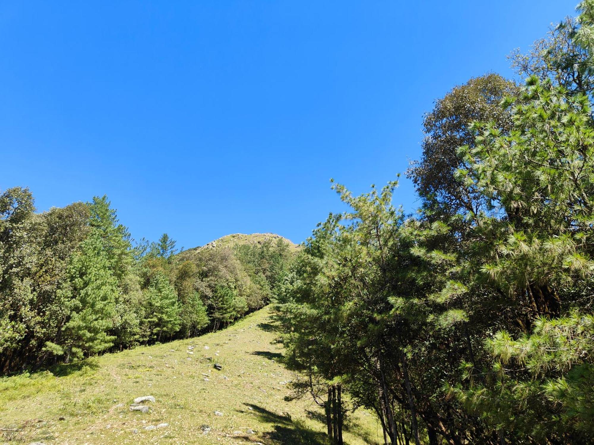 Himwanderer Camps & Cottages Pangot Nainital Kültér fotó