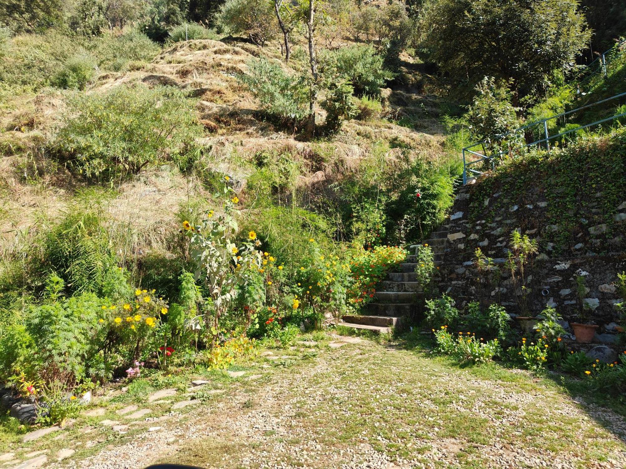 Himwanderer Camps & Cottages Pangot Nainital Kültér fotó