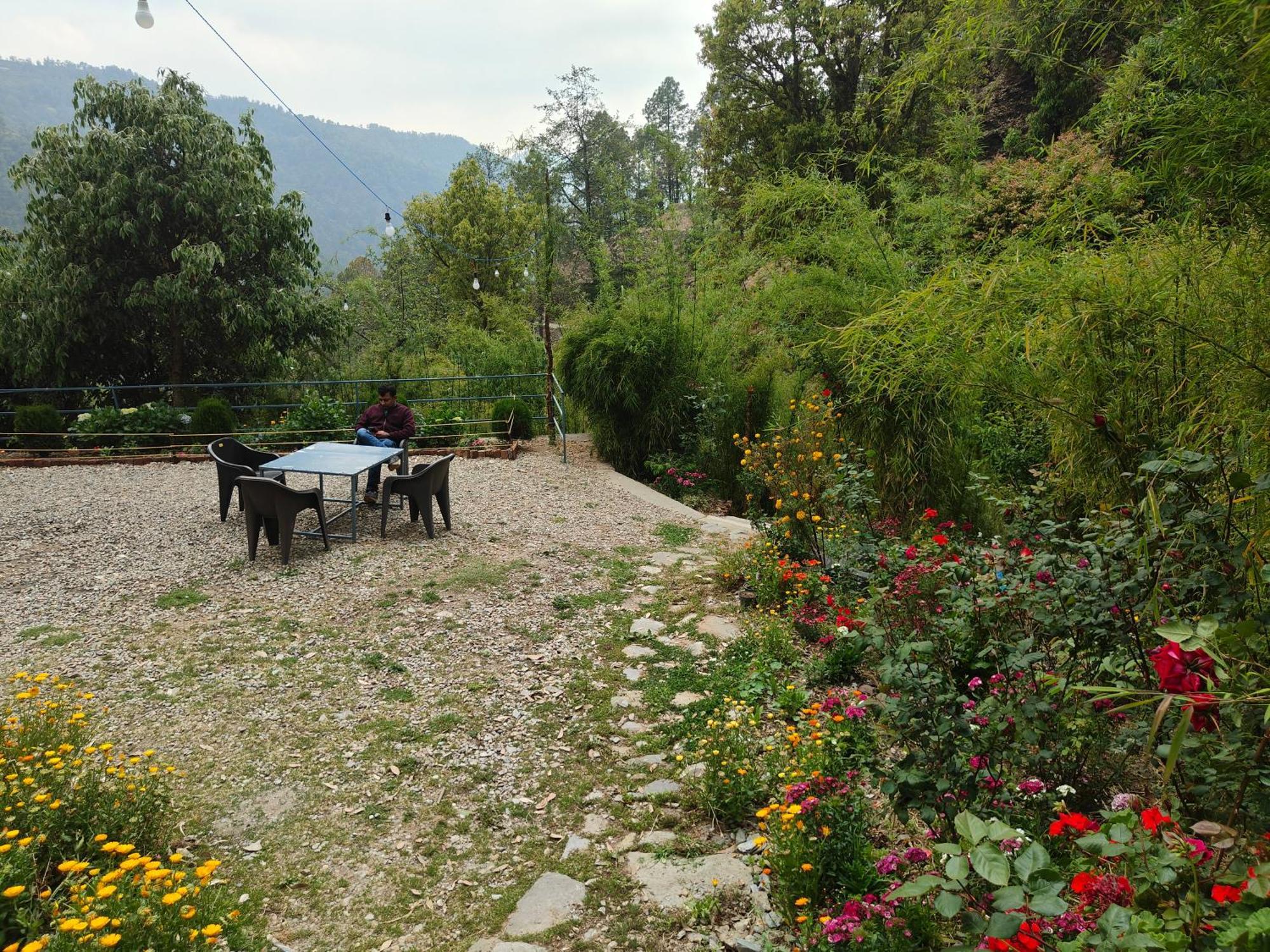 Himwanderer Camps & Cottages Pangot Nainital Kültér fotó