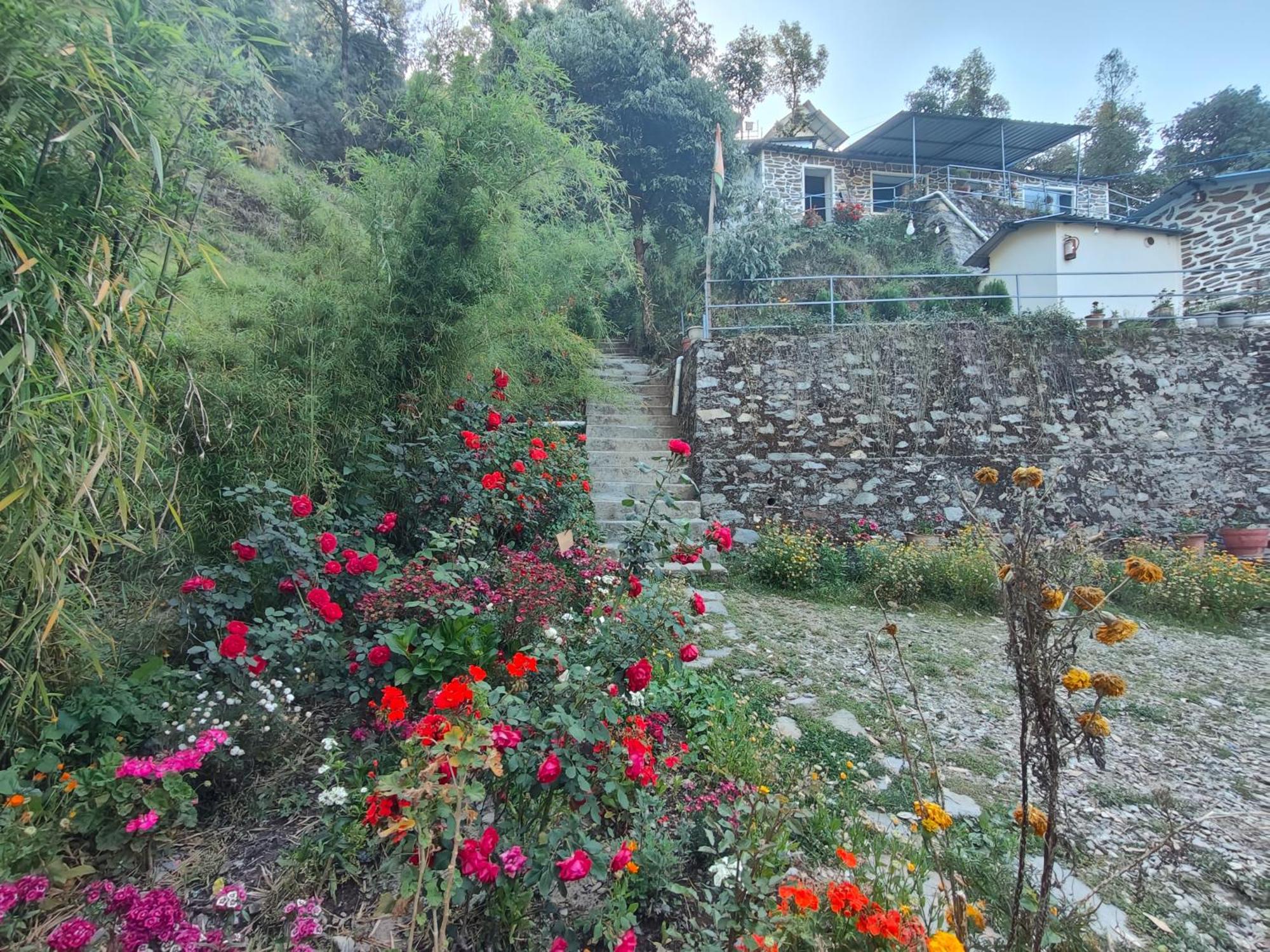 Himwanderer Camps & Cottages Pangot Nainital Kültér fotó